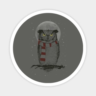 Winter owl Magnet